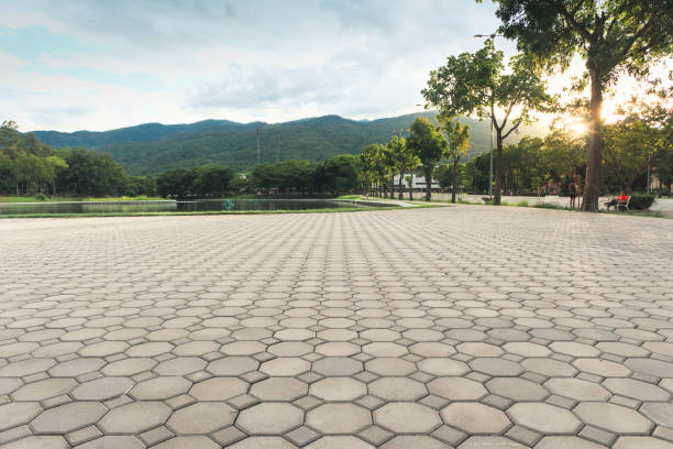 Best Brick Driveway Pavers  in Lighthouse Point, FL